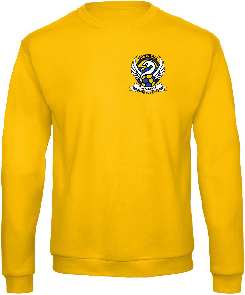 SSV Pullover "Kreisbanner Brust" – Bild 4